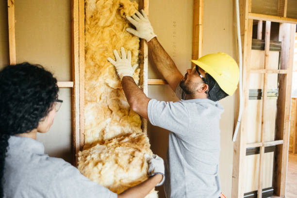 Best Professional Insulation Contractor  in Beacon, NY